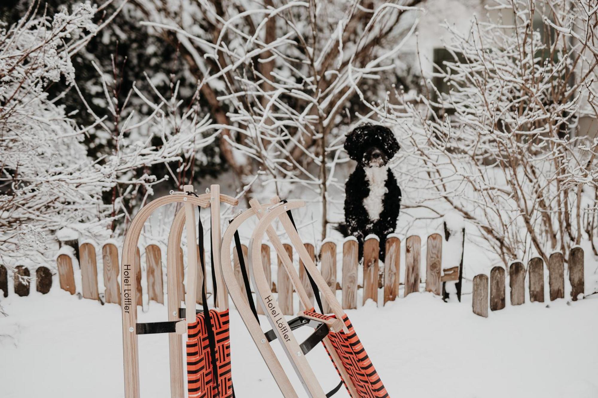 Der Loeffler Am Semmering Bed&Breakfast Esterno foto