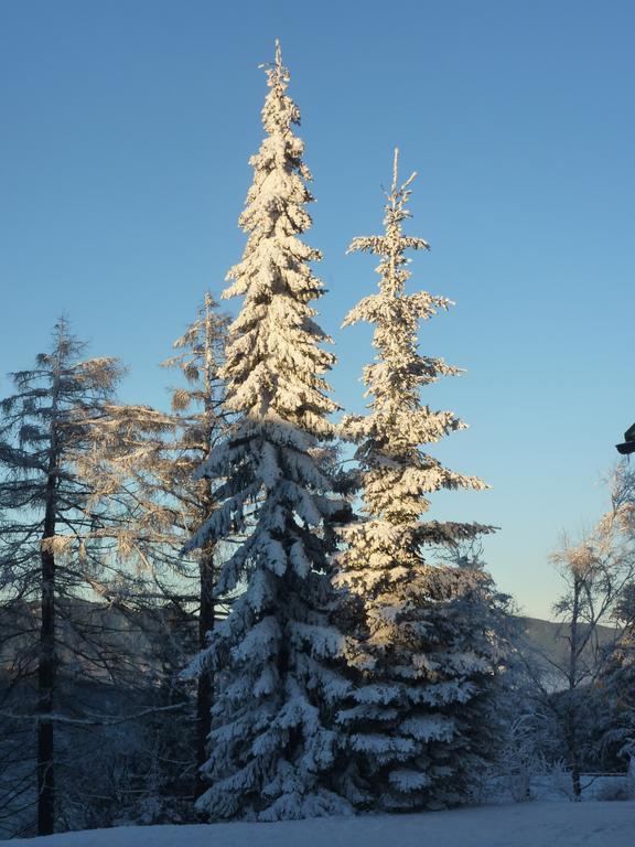 Der Loeffler Am Semmering Bed&Breakfast Esterno foto